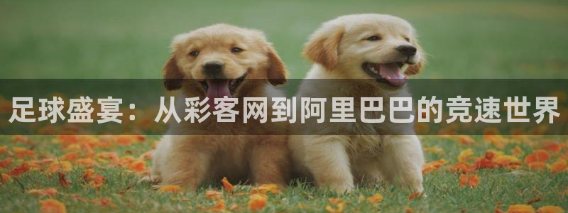 彩虹多多专享版怎么下载