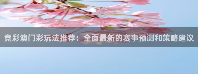 彩虹多多app极速版
