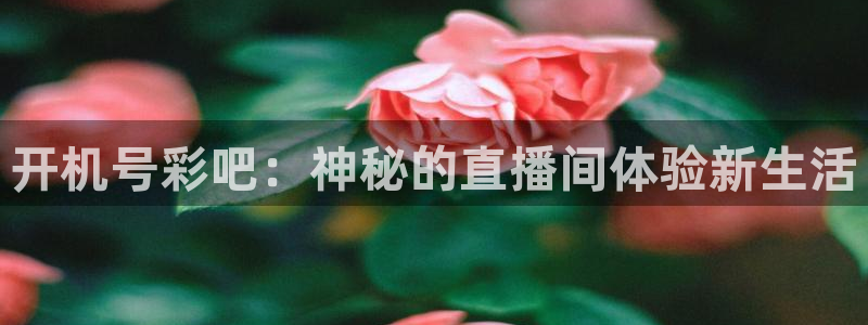 彩虹多多app在哪下：开机号彩吧：神秘的直播间体验新生活
