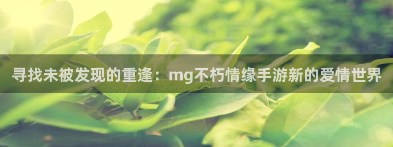 彩虹多多官方免费下载：寻找未被发现的重逢：mg不朽情缘手游新的爱情世界