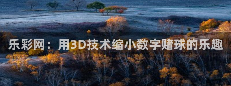 帮我下载彩虹多多：乐彩网：用3D技术缩小数字赌球的乐趣